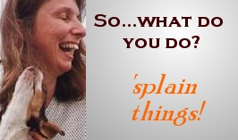 What do you do? 'splain Things
